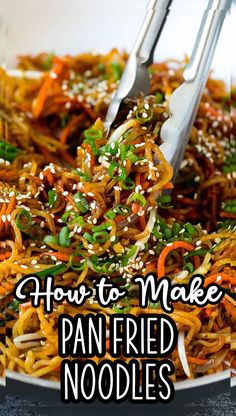 a plate full of noodles and vegetables with the words how to make pan fried noodles