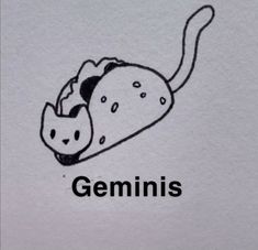 a drawing of a cat with the word aquarius on it's back side