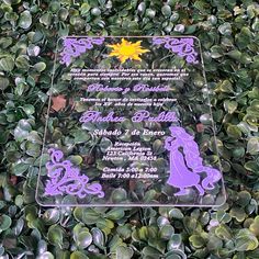 a glass plaque with an image of a princess on it in front of some plants