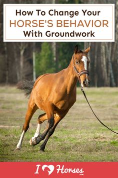 a brown horse running on top of a lush green field with the words how to change your horse's behavior with groundwork