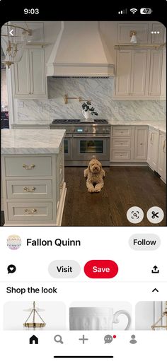 a dog is sitting in the middle of a kitchen with white cabinets and wood floors