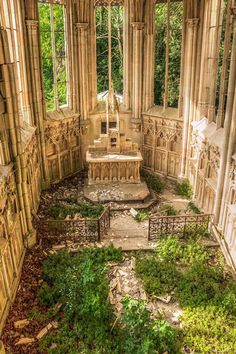 the interior of an old building with lots of windows and plants growing in it's floor