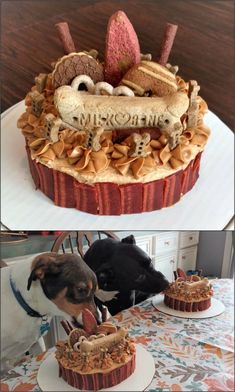 Doggy Cake, Doggy Birthday, Dog Birthday Cake Recipe, Recipes For The Holidays, Dog Cake Recipes, Dog Biscuit Recipes, Easy Dog Treats, Puppy Birthday Parties, Healthy Dog Treats Homemade