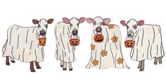 three cows dressed up as ghostes with pumpkins