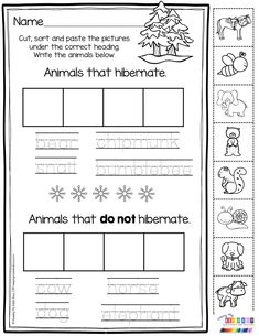 worksheet for beginning and ending the letter i with animals that do not hibernate