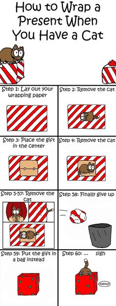 the instructions for how to wrap a present when you have a cat