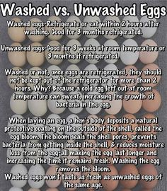 an image of eggs with the words washed vs unwashed eggs written below each one