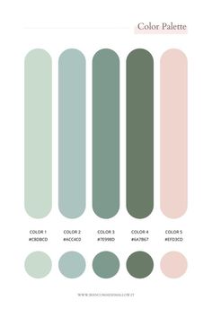 the color palette is shown with different shades