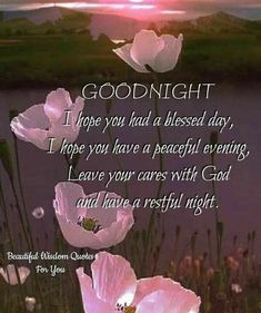 some pink flowers are in front of a lake and the words goodnight i hope you had a