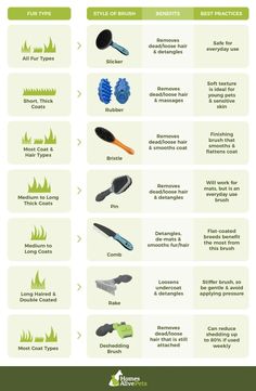 the different types of toothbrushes are shown in this infographtion chart, which includes