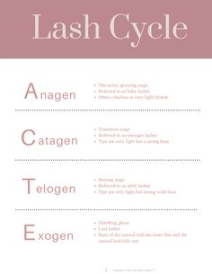 Lash Manual, Eyelash Studio, Lash Extension Training, Lash Extentions, Eyelash Extension Training, Extension Training, Lash Quotes, Esthetician Marketing, Eyelash Tips