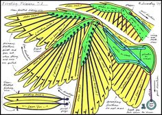 an image of a drawing of a bird's wings