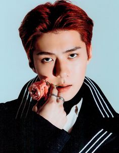 Sehun .Love. Cre: the owner/as logo Exo Photoshoot, Exo Hot, Exo 12, Exo Official, Exo Album, Exo Ot12, Xiu Min, Baekhyun Chanyeol