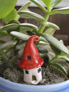 a potted plant with a gnome's house in it