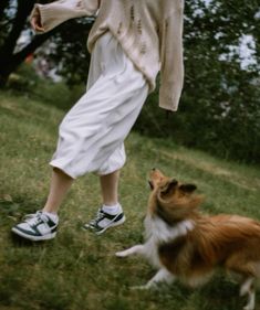 a dog and a person in the grass