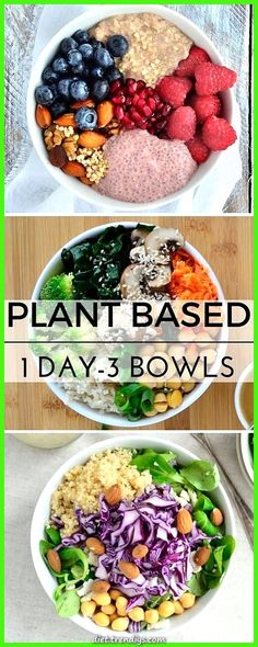 four different bowls filled with vegetables and meats, all labeled in the words plant based day - 3 bowl's