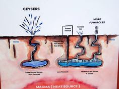 an image of a diagram of the water cycle