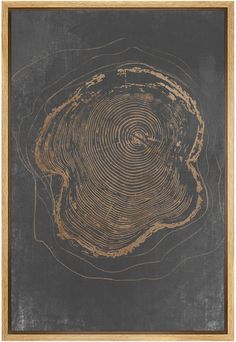 a black and gold framed art piece with a tree ring pattern on it's surface