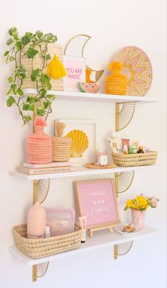 some shelves with various items on them and plants in vases next to each other