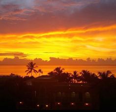 an orange and yellow sunset over the ocean with palm trees in the foreground at dusk