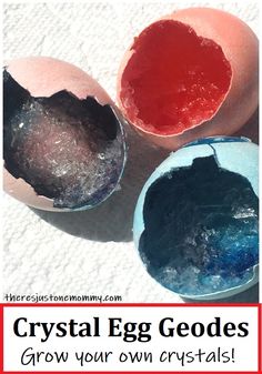 three eggs with the words crystal egg geodes grow your own crystals on them and then they