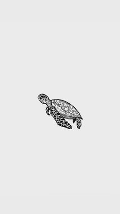 a black and white drawing of a turtle