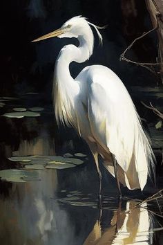 a painting of a white egret standing in the water