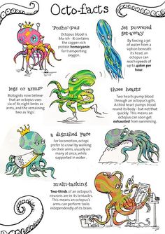 an image of different types of octopus