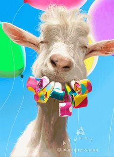 a goat with balloons in the background and a painting of it's head sticking out from its mouth