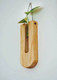 a plant is growing out of a cutting board mounted to the side of a wall