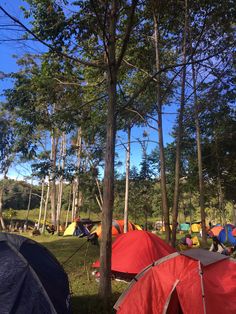 many tents are set up in the woods with trees and blue sky behind them on a sunny day