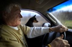 an older woman driving a car with a dog in the background