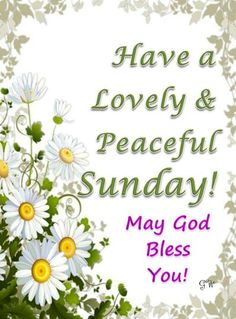 a greeting card with daisies and the words, have a lovely and peaceful sunday