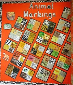 an orange bulletin board with animals and zebras on it that says animal markings