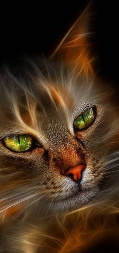 a cat with green eyes looking at something in the distance and blurry image on it's face