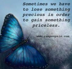 butterflies quote | quote via www.IamPoopsie.com | Butterfly Quotes Butterfly Cocoon, Diana Cooper, Quotes Queen, Quotes Pinterest, Lose Something, Quotes Quotes, Blue Butterfly