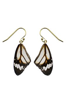 Real butterfly wings, delicately preserved in resin. Cruelty-free (keep reading)! These earrings are sold as a pair. Sterling silver or 14k plated sterling silver French hooks. These earrings are part of a circularity initiative we are taking in partnership with our orchid sanctuary in Thailand. The butterflies live in the sanctuary and pollinate the orchids, and at the end of their natural life cycles their wings are preserved. 100% cruelty-free and ethical. Please note that our earrings are ma Butterfly Live, Botanical Fashion, Real Butterfly Wings, Real Butterfly, Luxury Outerwear, Recycled Leather, Natural Life, Butterfly Wings, Life Cycles