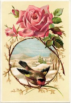 a bird sitting on top of a branch with pink flowers in front of a mirror