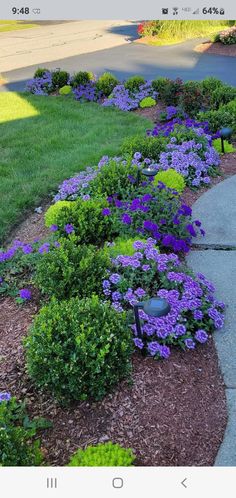 a garden with purple flowers in the middle and green grass on the other side, next to a sidewalk