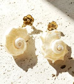 Sea Shell Earrings, Shell Earrings, Seashell Earrings, Gift for Women, Gift for Her, Bridesmaid Gifts, Shell Jewelry, Mother's Day Gift - Etsy Montenegro Shell-shaped Mother Of Pearl Earrings For Gift, Gift Shell-shaped Mother Of Pearl Earrings, Ocean-inspired Shell Pearl Earrings Gift, Ocean-inspired Shell Pearl Earrings For Gift, Ocean-inspired Shell Earrings As Gift, Ocean-inspired Shell Pearl Earrings, Ocean-inspired Shell Earrings For Gifts, Handmade Shell-shaped Pearl Earrings For Gifts, Handmade Shell Pearl Earrings For Gift