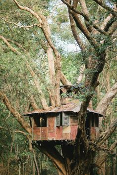 a tree house in the middle of a forest