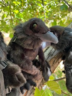 a stuffed bird sitting on top of a tree branch