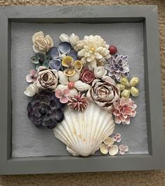 a sea shell with succulents and other flowers in a shadow box frame