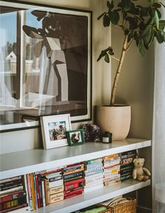 a bookshelf filled with lots of books next to a potted plant on top of a white shelf