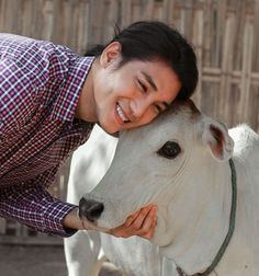 a young man is petting a white cow