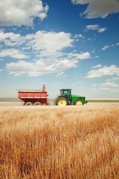 a tractor and trailer are driving through the wheat field