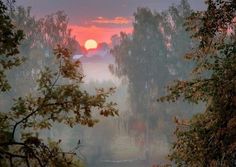 the sun is setting behind some trees in the foggy forest with water flowing through it