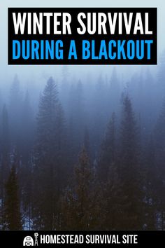 winter survival during a blackout with text overlaying the image and trees in the background