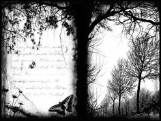 an open book with trees and butterflies on it's pages, in black and white