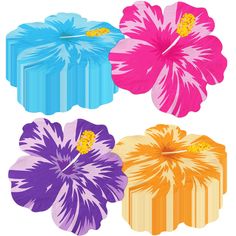 three different colored flowers are in the shape of cake wrappers on a white background